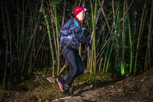 BIB: 
                            <button type="button" onclick="openModal(6950470)" class="btn btn-primary btn-sm float-right btn-popup" data-toggle="modal" data-target=".modal-high-quality">
                        <i class="fas fa-shopping-cart"></i> Add to Cart
                    </button>
                                            <button type="button" onclick="isThisMe(6950470, true)" class="btn btn-success btn-sm float-right btn-popup btn-isme hidden" data-toggle="tooltip" data-placement="bottom" title="นี่คือรูปของคุณใช่ไหม คลิกที่นี่เพื่อเอาเข้าอัลบั้ม">
                        <i class="fas fa-plus"></i> Add to album
                    </button>
                    <button type="button" onclick="isThisMe(6950470, false)" class="btn btn-warning btn-sm float-right btn-popup btn-isnotme hidden">
                        <i class="fas fa-ban"></i> Remove from album
                    </button>